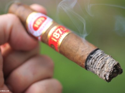 Nguyên nhân và cách khắc phục Xì gà bị rách, nứt lá ngoài