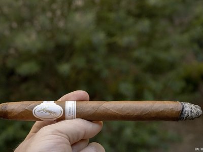 Review đánh giá DAVIDOFF GINZA 10TH ANNIVERSARY (2020)