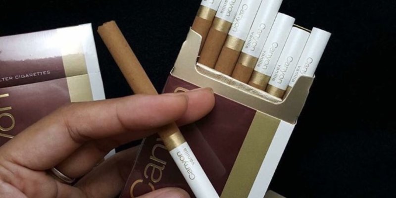 Xì gà điếu nhỏ hút có ngon không và giá bao nhiêu?