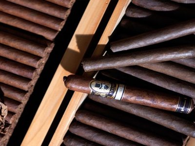 Những dòng xì gà nhẹ cho người mới hút