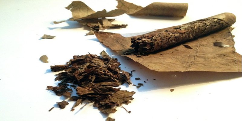 Bí quyết giúp khôi phục xì gà bị khô không ảnh hưởng đến chất lượng