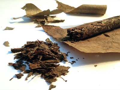 Bí quyết giúp khôi phục xì gà bị khô không ảnh hưởng đến chất lượng