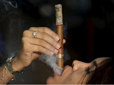 Bí quyết nuôi xì gà ngon