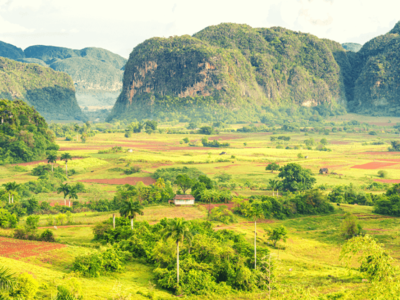 Thung lũng Vinales – nơi trồng thuốc xì gà lớn nhất tại Cuba