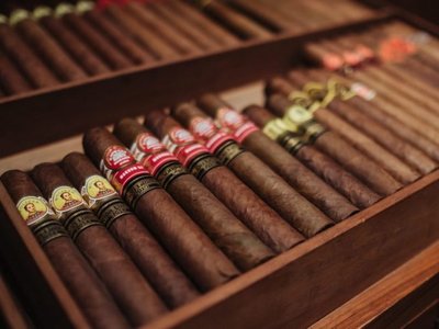 Làm thế nào để nuôi xì gà ngon?