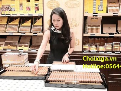 Địa chỉ Mua xì gà uy tín ở đâu đà nẵng, nha trang, Phan Thiết