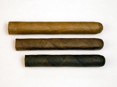 Lá xì gà ở thung lũng Connecticut