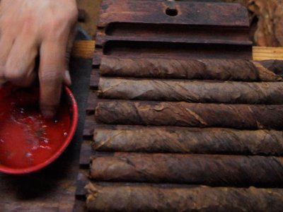 Người làm xì gà cần tìm gì khi chọn loại lá kết dính?