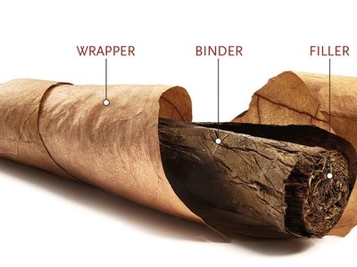 Phần quan trọng nhất của điếu xì gà là gì?