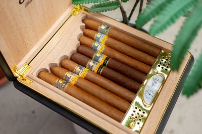 CÁCH DUY TRÌ ĐỘ ẨM XÌ GÀ CỦA BẠN