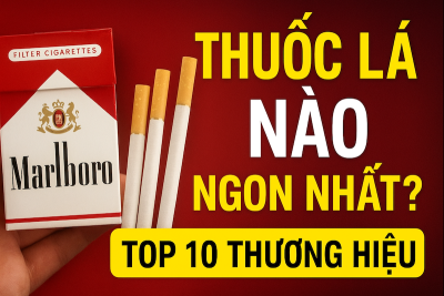 Thuốc Lá Nào Ngon Nhất Hiện Nay? Top 10 Thương Hiệu Được Ưa Chuộng