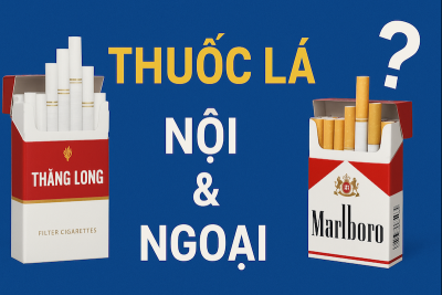 Thuốc Lá Ngoại & Thuốc Lá Nội – Nên Chọn Loại Nào?