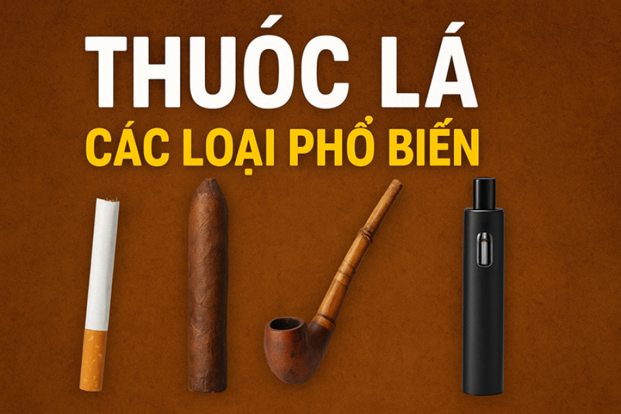 Thuốc Lá: Các Loại Phổ Biến, Lịch Sử, Tác Động & Xu Hướng Tương Lai