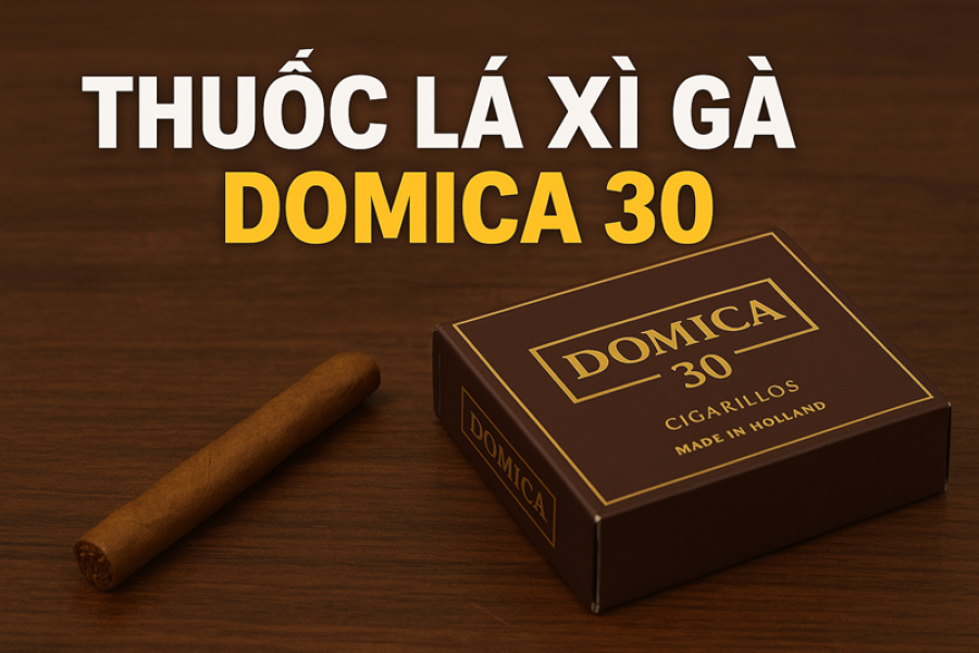 Thuốc Lá Xì Gà Domica 30 – Review, Giá Bán & Hương Vị Chi Tiết