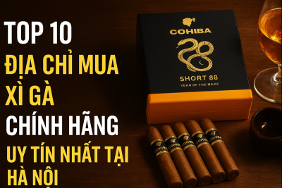 Top 10 Địa Chỉ Mua Xì Gà Chính Hãng Uy Tín Nhất Tại Hà Nội