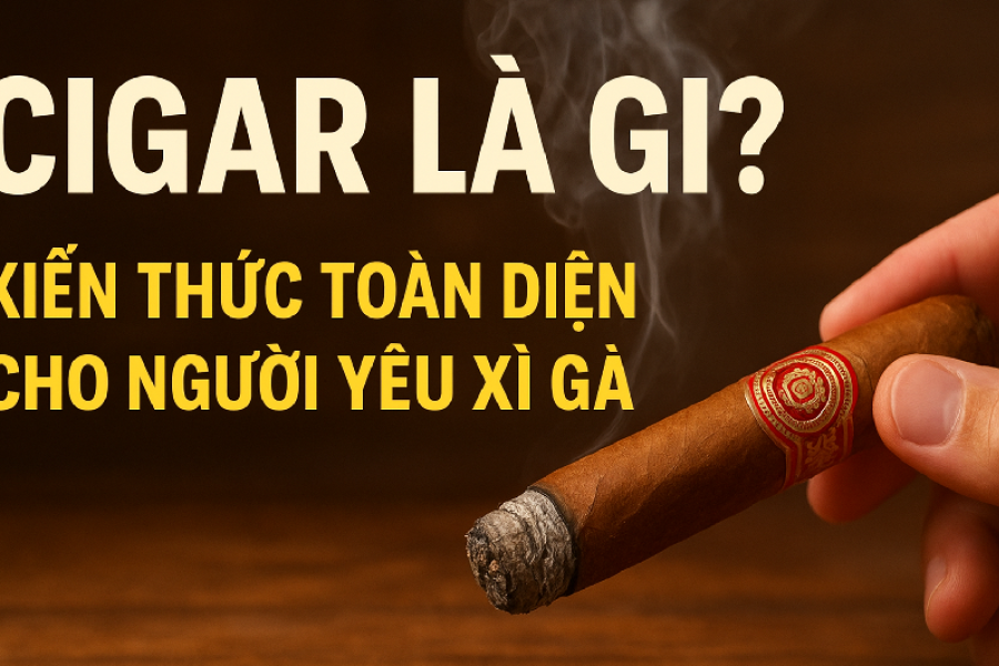 Cigar Là Gì? Kiến Thức Toàn Diện Cho Người Yêu Xì Gà