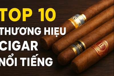 Top 10 Thương Hiệu Cigar Nổi Tiếng Nhất Thế Giới – Biểu Tượng Đẳng Cấp Của Người Yêu Xì Gà