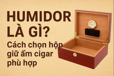 Humidor Là Gì? Cách Chọn Hộp Giữ Ẩm Cigar Phù Hợp Cho Người Mới