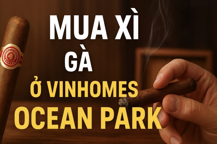 Mua Xì Gà Ở Vinhomes Ocean Park – Địa Chỉ Uy Tín, Đẳng Cấp Dành Cho Tín Đồ Cigar
