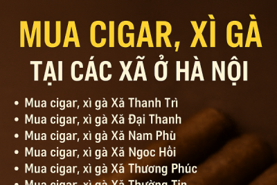Tổng Hợp Địa Chỉ Mua Cigar, Xì Gà Uy Tín Tại Các Xã Ở Hà Nội