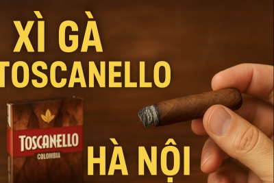 Xì Gà Toscanello Hà Nội – Thưởng Thức Hương Vị Ý Giữa Lòng Thủ Đô