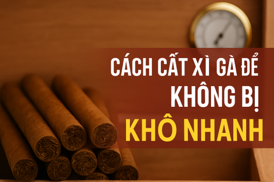 Cách Cất Xì Gà Để Không Bị Khô Nhanh – Bí Quyết Giữ Trọn Hương Vị Cuba