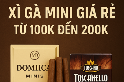 Xì Gà Mini Giá Rẻ Từ 100k Đến 200k – Lựa Chọn Hoàn Hảo Cho Người Mới Bắt Đầu