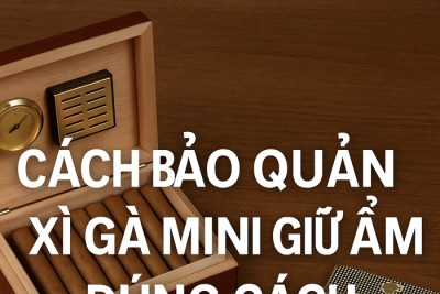 Cách Bảo Quản Xì Gà Mini Giữ Ẩm Đúng Cách – Bí Quyết Giữ Trọn Hương Vị Cuba