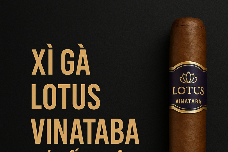 Xì Gà Lotus Vinataba Có Tốt Không? Đánh Giá Chi Tiết