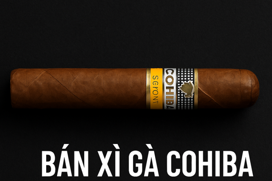 Bán Xì Gà Cohiba Siglo VI 6 Ở Thủ Đức – Trải Nghiệm Đỉnh Cao Cigar Cuba