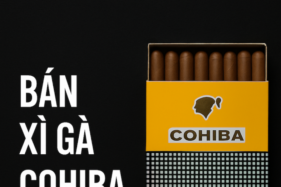 Bán Xì Gà Cohiba Chính Hãng – Trải Nghiệm Tinh Hoa Cuba Đẳng Cấp