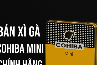 Bán Xì Gà Cohiba Mini – Lựa Chọn Hoàn Hảo Cho Người Yêu Cigar Cuba