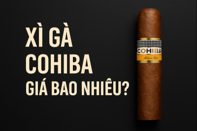 Xì Gà Cohiba Giá Bao Nhiêu? Bảng Giá Chi Tiết & Hướng Dẫn Mua Chuẩn Nhất 2025