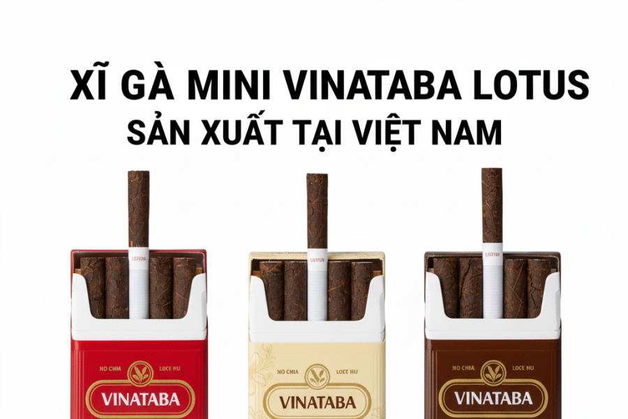 Xì Gà Mini Vinataba Lotus Sản Xuất Tại Việt Nam: Khám Phá Hương Vị Việt