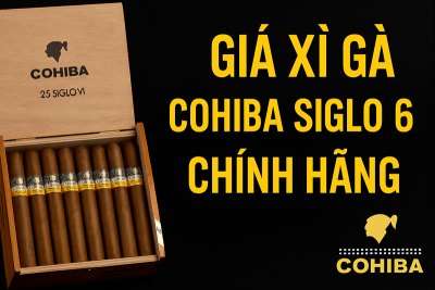 Giá Xì Gà Cohiba Siglo 6 Chính Hãng 2025 – Bảng Giá Chi Tiết