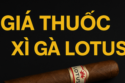 Giá Thuốc Xì Gà Lotus: Cập Nhật Mới Nhất & Lý Do Tạo Nên Sức Hút