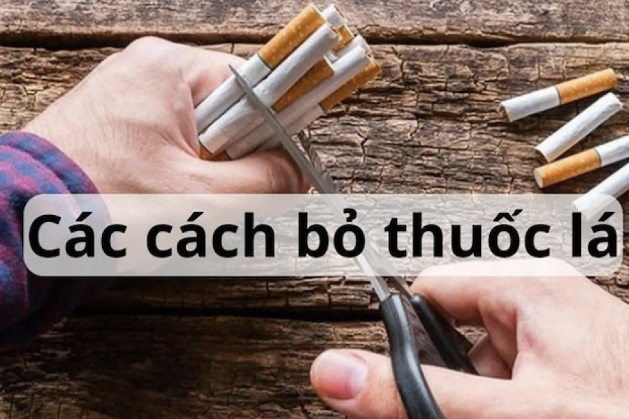 Cách Bỏ Thuốc Lá Hiệu Quả – Hướng Dẫn Chi Tiết Cho Người Quyết Tâm Cai Thuốc