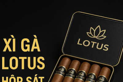 Xì Gà Lotus Hộp Sắt – Sự Lựa Chọn Hoàn Hảo Cho Người Yêu Cigar Việt