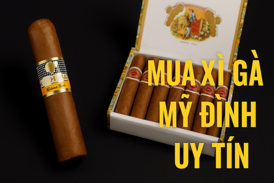 Mua Xì Gà (Cigar) Mỹ Đình – Địa Chỉ Uy Tín, Giá Tốt & Dành Cho Người Sành