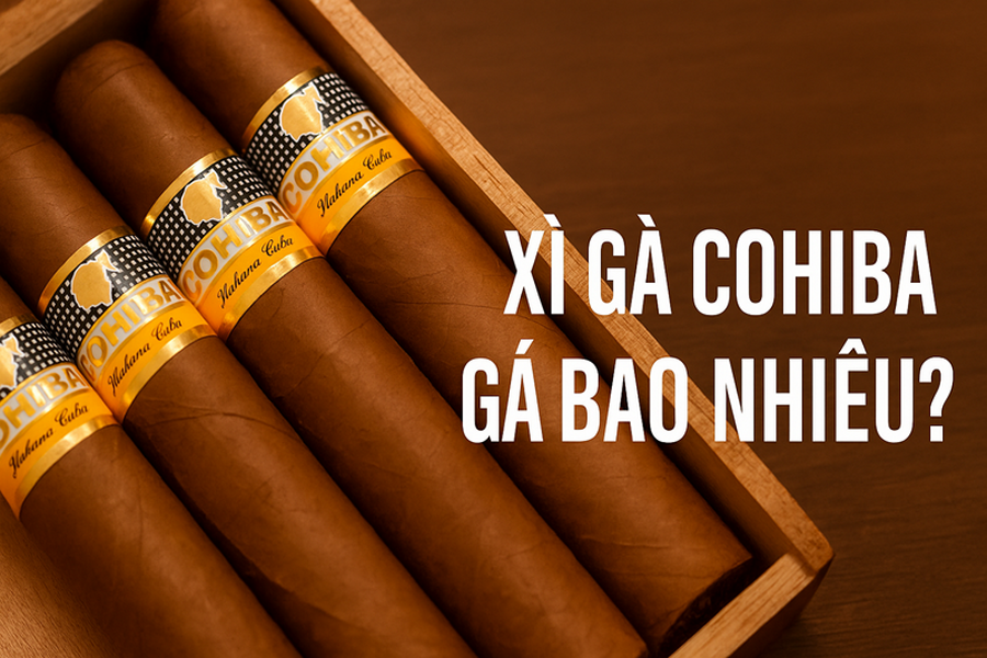 Xì Gà Cohiba Giá Bao Nhiêu? Bảng Giá Mới Nhất & Phân Biệt Thật Giả