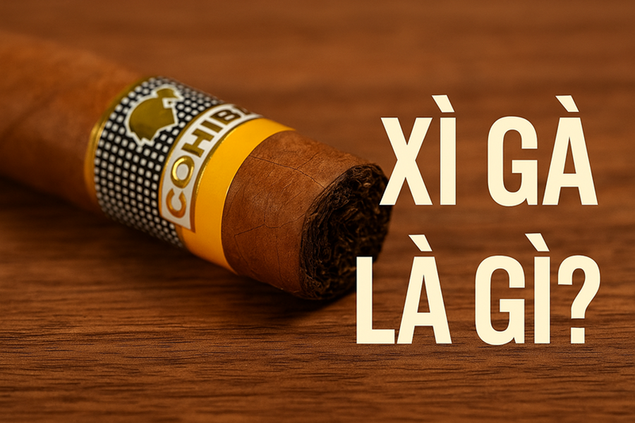 Xì Gà Là Gì? Lịch Sử, Phân Loại Và Văn Hóa Thưởng Thức Chi Tiết A-Z