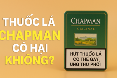 Thuốc Lá Chapman Có Hại Không? Sự Thật Về Tác Hại & Giải Pháp Hạn Chế