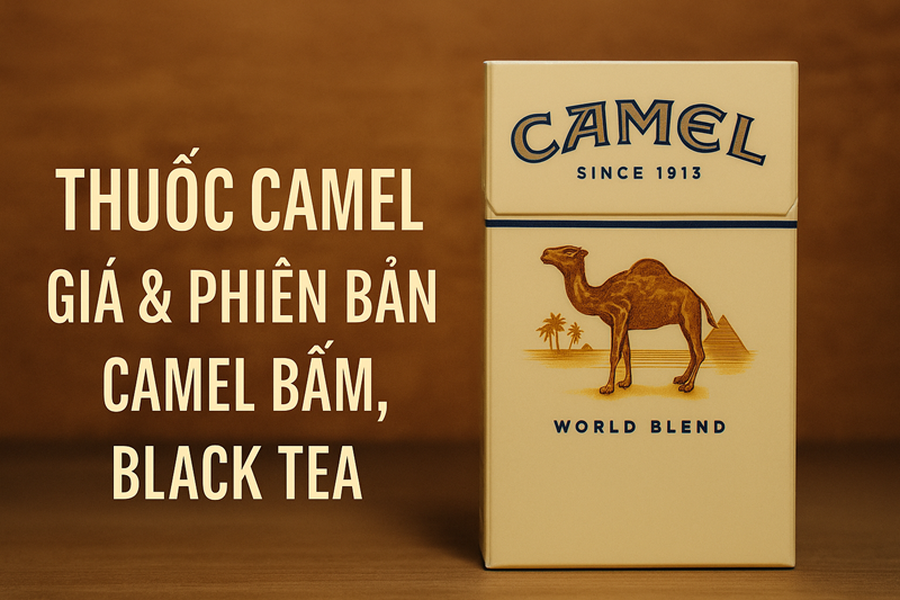 Thuốc Camel – Giá Thuốc Lá Camel, Phiên Bản Camel Bấm & Camel Black Tea Chính Hãng