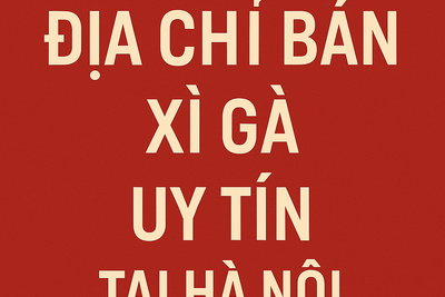 Địa Chỉ Bán Xì Gà Uy Tín Tại Hà Nội: Mua Xì Gà Chuẩn, Chất Lượng