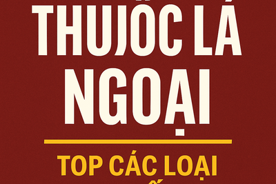 Thuốc Lá Ngoại – Top Các Loại Thuốc Thơm, Thuốc Lá Điếu Nhỏ Chính Hãng Ngon Nhất 2025