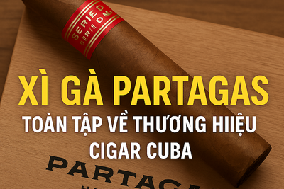 Xì Gà Partagas Lịch Sử, Giá Bán Và Địa Chỉ Mua Hàng Uy Tín