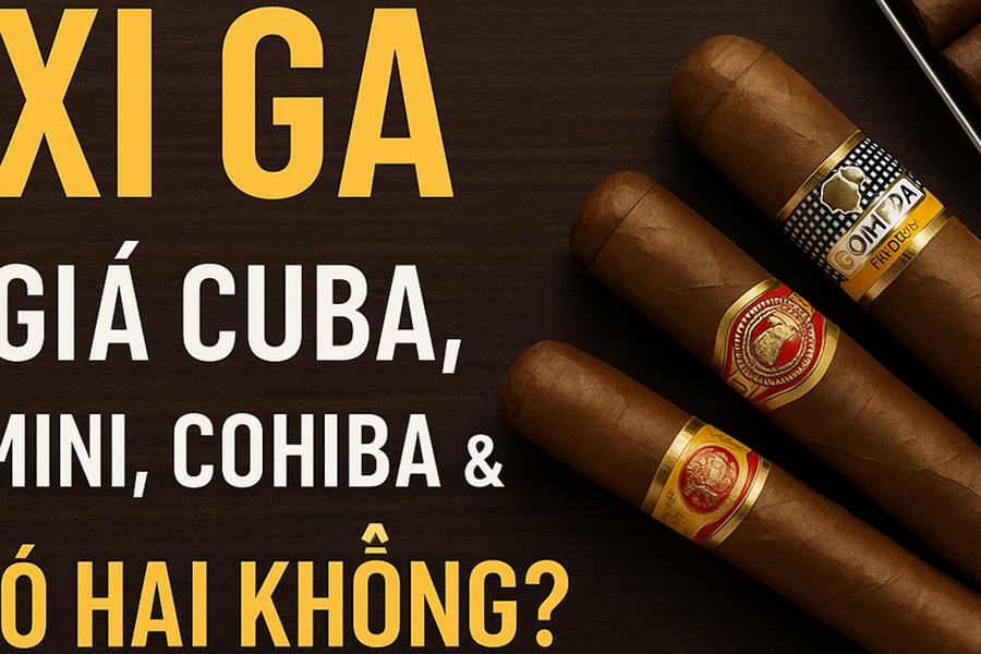 Xì Gà – Giá Xì Gà Cuba, Cohiba, Mini Hộp Thiếc & Giải Đáp Có Hại Không