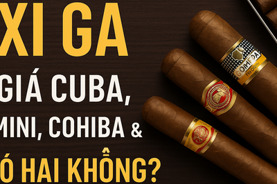 Xì Gà – Giá Xì Gà Cuba, Cohiba, Mini Hộp Thiếc & Giải Đáp Có Hại Không