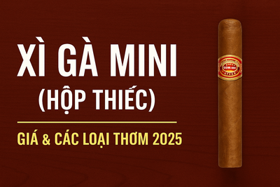 Xì Gà Mini (Hộp Thiếc) – Giá, Các Loại Thuốc Lá Xì Gà Mini Thơm & Lựa Chọn Giá Rẻ 100K