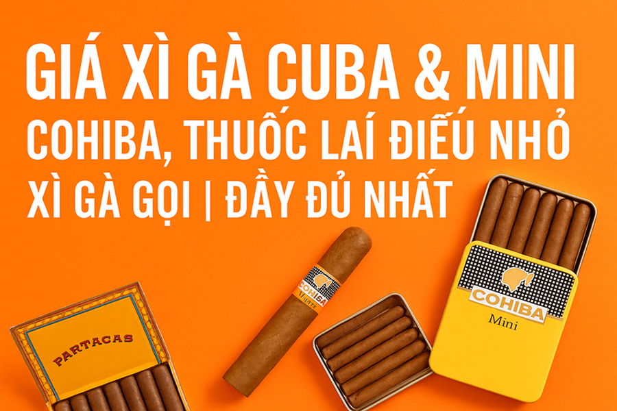 Giá Xì Gà Cuba & Mini 2025 – Cohiba, Thuốc Lá Điếu Nhỏ, Xì Gà Gọi | Đầy Đủ Nhất